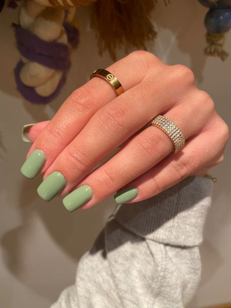 Square Green Nails Acrylic, Green Coffin Short Nails, Pastel Green Nails Square, Gel Nail Plain Colors, Solid Color Green Nails, Short Light Green Acrylic Nails, Short Green Manicure, Pastel Gel Manicure, Simple Graduation Nails Square