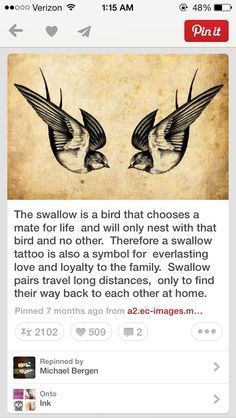 Swallows also represent a symbol towards the LGBT community. Harold.. Mate For Life Tattoo, Bird Swallow, Simbols Tattoo, Swallow Bird Tattoos, Vogel Tattoo, Super Tattoo, Sparrow Tattoo, Petit Tattoo, Swallow Tattoo