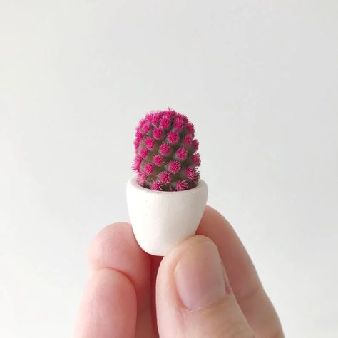 Micro Succulents and Micro Cacti For Sale on Etsy | POPSUGAR Home Mini Cactus Plants, Cactus Names, Cactus Ideas, How To Grow Cactus, Cool Bedroom Accessories, Kaktus Dan Sukulen, Gifts For College Students, Cactus Collection, Handmade Ceramic Planters