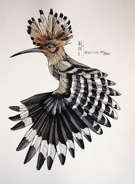 Drawings: Line & Colors on Behance Animal Illustration Art, Arte Fantasy, Bird Drawings, Bird Illustration, Ink Illustrations, Watercolor Bird, Line Art Drawings, Birds Painting, Watercolor And Ink