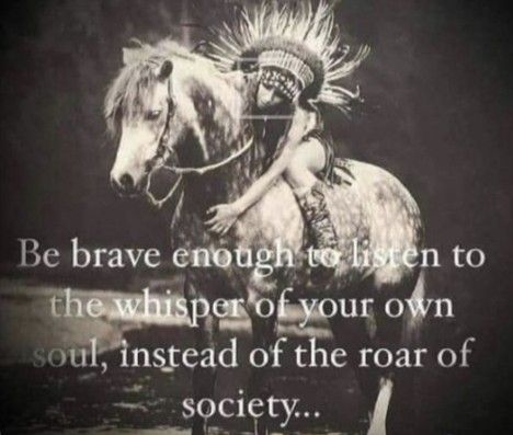 Native Quotes, American Indian Quotes, American Quotes, Indian Quotes, Native American Wisdom, Native American Quotes, Enjoy The Ride, Bohol, Be Brave