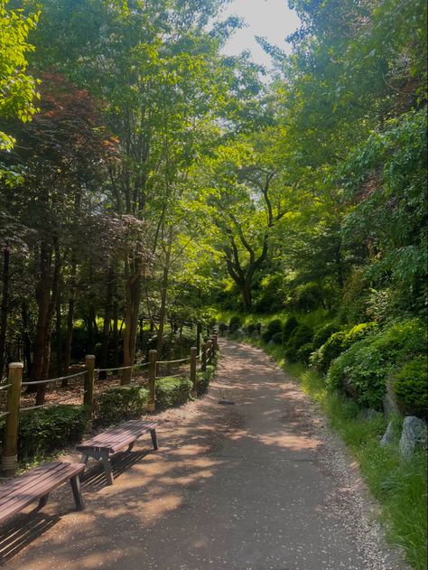 #seoul #korea #nature #forest #park Seoul Forest Park, Seoul Forest, Korea Forest, Seoul Park, Korean Forest, Korean Nature, Seoul Landscape, Park View, Korea Nature