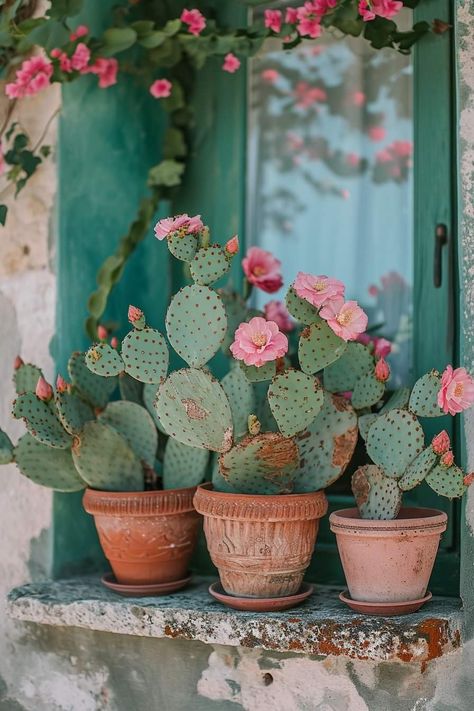 Potted Cactus, Green Things, Green Door, Cactus Flowers, Cactus Y Suculentas, Cactus And Succulents, Succulents Garden, Cacti And Succulents, الرسومات اللطيفة