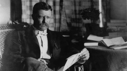 The Roosevelts: An Intimate History | Video | Ken Burns Teddy Roosevelt Quotes, Historical Poster, Roosevelt Quotes, Teddy Roosevelt, Art Of Manliness, United States History, Rough Riders, Wit And Wisdom, Theodore Roosevelt