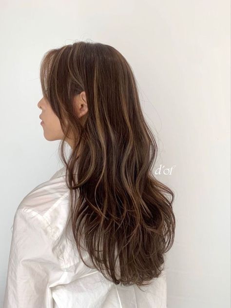 Brown Black Hair Color With Highlights, Brown Hair W Subtle Highlights, Highlights Not From The Roots, High Contrast Babylights, One Highlight In Hair, Blond Highlights On Reddish Brown Hair, Blonde Balayage On Dark Hair Latina, Hair Dye Ideas For Long Brown Hair, Korean Dyed Hair Brown