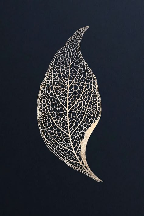 Easy Drawing Step By Step, Leaf Structure, Nerve Plant, Leaf Skeleton, Leaf Vector, Easy Drawing Steps, Drawing Step By Step, Black Paper Drawing, Leaves Vector