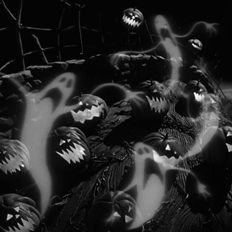 Halloween Pfp Black And White, Halloween Aesthetic Black And White, Black And White Halloween Aesthetic, Black Halloween Aesthetic, Black And White Spooky Aesthetic, Horror Black And White, Black And White Wallpaper Creepy, Black And White Horror Aesthetic, Black And White Creepy Aesthetic