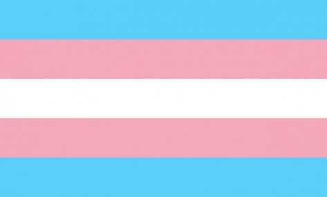 Transgender Flag, Trans Pride Flag, Gender Flags, Trans Flag, Lgbtq Flags, Lgbt Flag, Pride Stickers, Trans Pride, Judy Garland