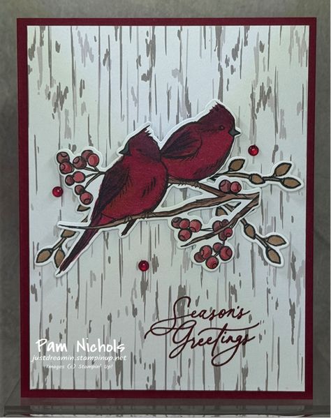 Cardinal Christmas Cards, Tara Carpenter, Cardinal Christmas, Christmas Cardinals, Stampin Up Project, Step Cards, Stampin Up Christmas, Diy Christmas Cards, Bird Cards