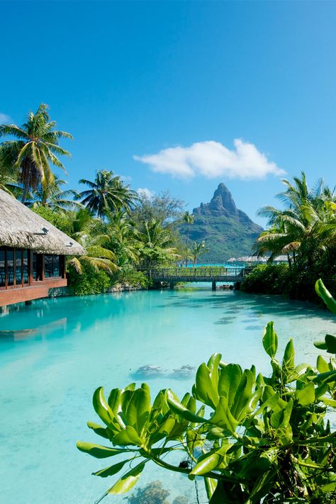 Turquoise waters and vibrant blue skies, a honeymooners paradise... Tahiti Resorts, Bora Bora Island, Luxury Island, Bora Bora Resorts, Visit Maldives, Sea Resort, Tropical Beaches, Tropical Climate, Travel Locations