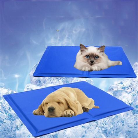 Dog Cooling Mat, Pet Cooling Mat, Cat Summer, Dog Bed Mat, Cooling Pad, Cat Cushion, Bed Mats, Summer Dog, Dog Mat