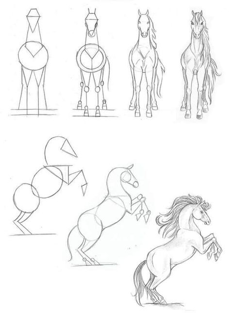 Drawings Of Horses, Horse Drawing Tutorial, Horse Art Drawing, Horse Sketch, Cool Pencil Drawings, Horse Drawing, Horse Drawings, Easy Drawings Sketches, Art Drawings Sketches Creative