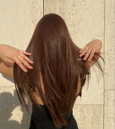 Auburn Hair Chestnut Hair Color Reddish, Black Chestnut Hair, Dark Red Chestnut Hair, Ginger Chestnut Hair, Orange Over Brown Hair, Red Brown Chestnut Hair, Cool Reddish Brown Hair, Brown Hair Colors Reddish, Chocolate Brown Reddish Hair