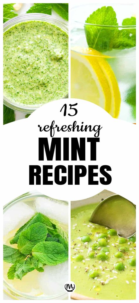 Thai Mint Recipes, Appetizers With Mint, Mint Food Recipes, Salads With Mint Leaves, Vegan Mint Recipes, Recipes Using Fresh Mint Leaves, Dried Mint Recipes, How To Preserve Mint, Ways To Use Fresh Mint