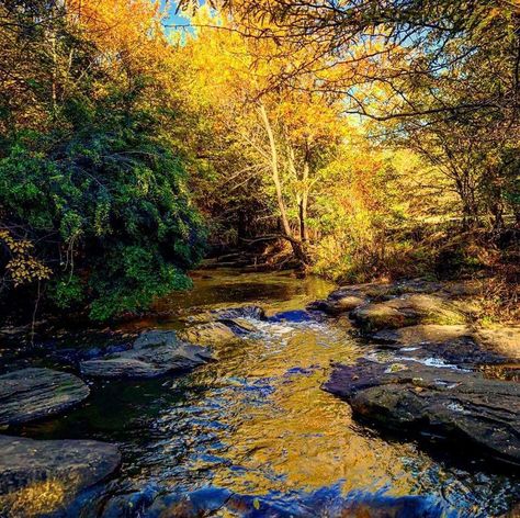 Fall colors are here! Stone Creek Park Flower Mound, Tx Stone Creek, Flower Mound, Photo Location, Fall Colors, Texas, Stone, Flowers, Photography, Travel