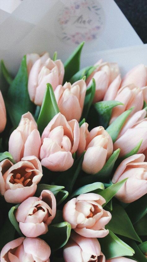 Frühling Wallpaper, Fashion Outfits Dresses, Outfits Dresses, Spring Aesthetic, Flower Phone Wallpaper, Beautiful Flowers Pictures, Pink Tulips, Flowers Nature, Beautiful Blooms