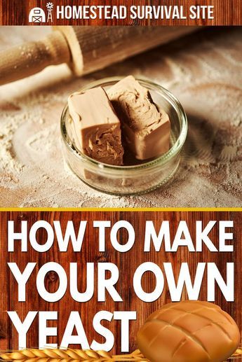 Homemade Yeast, Yeast Starter, Homemade Pantry, Yeast Bread, Survival Food, Bread Recipes Homemade, Canning Recipes, Homemade Bread, Diy Food