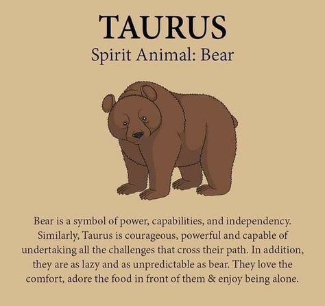 Taurus Zodiac Quotes, Taurus Memes, Taurus Art, Taurus Traits, Spiritual Animal, Taurus Zodiac Facts, Taurus Quotes, Astrology Taurus, Taurus Love