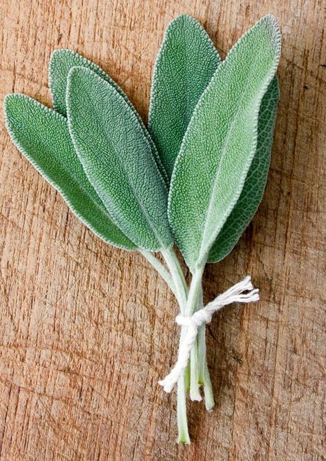 Hair Growth Mask Diy, Sage Flowers, Painted Garden Rocks, Hair Care Oils, Sage Plant, Hair Elixir, Hair Care Oil, Best Hair Oil, Sage Leaves