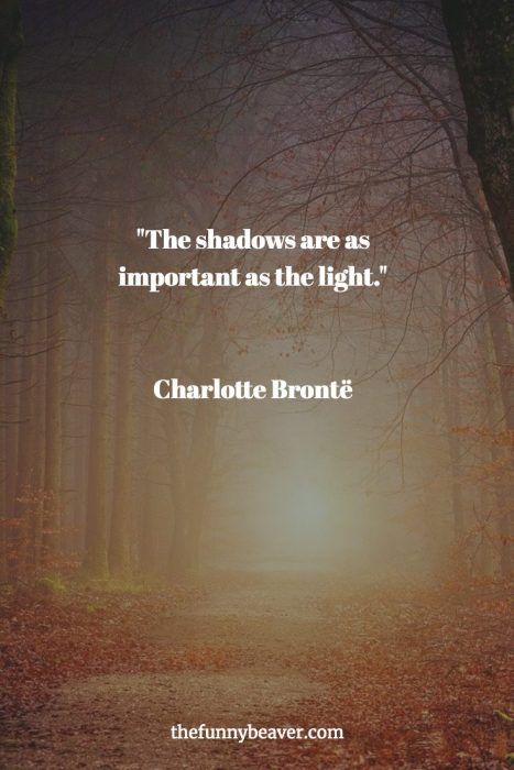 inspiring-quotes-shadows-light Shadow Quotes Beauty, Light And Shadow Quotes, Atmosphere Quotes, Love Ending Quotes, Shadow Quotes, Rare Quote, Ending Quotes, Brave Quotes, Light Quotes