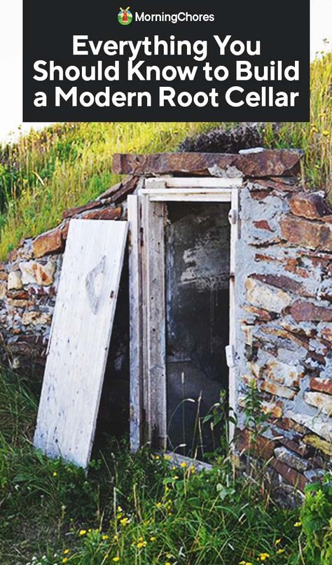 How To Build A Root Celler, Root Cellar In Hillside, Rootcellar Diy, Hillside Root Cellar, How To Build A Root Cellar, Building A Root Cellar, Diy Root Cellar, Root Cellar Plans, Root Cellar Storage