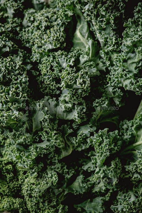 Fresh kale leaves by NatashaBreen. Close up of fresh organic curly kale leaves over linen textile. Food background. Healthy eating ingredients. Flat lay... #AD #fresh, #Close, #curly, #organic Kale Aesthetic, Curly Kale, Food Background, Map Making, Kale Leaves, Nutritious Foods, Food Texture, Healthy Food Dishes, Women Who Lift