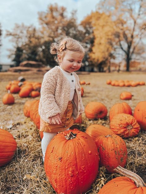 Toddler Fall Outfits, Pumpkin Patch Outfit Kids, Photoshoot Orange, Pumpkin Patch Kids, Fall Baby Pictures, Pumpkin Patch Photoshoot, Pumpkin Patch Pictures, Toddler Pictures, Toddler Photoshoot