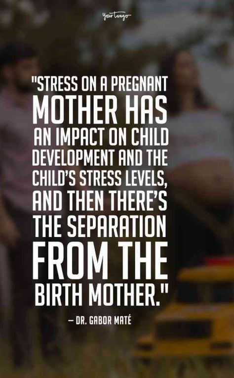 "Stress on a pregnant mother has an impact on child development and the child’s stress levels, and then there’s the separation from the birth mother." — Dr. Gabor Maté #inspirational-quotes #inspiring-quotes #quotes Birth Mother Quotes, Pregnancy Emotions Quotes, Expectant Mother Quotes, Struggling To Get Pregnant Quotes, Mother Protecting Child Quotes, Quotes For Parents, Mate Quotes, Parenting Quotes Mothers, Gifts For Pregnant Friend