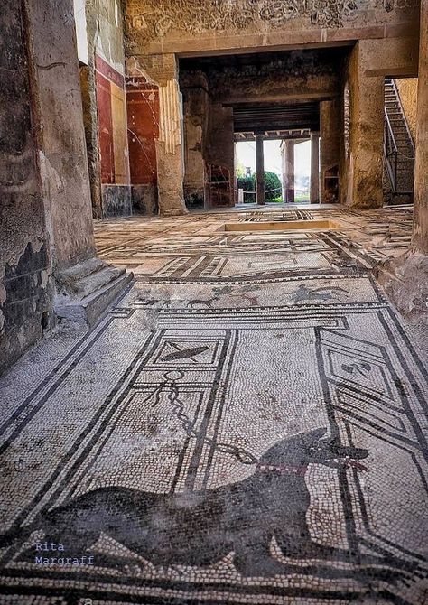 Mosaic Artwork from Pompeii Italy... In 79 A.D.!! Pompei Mosaic, Pompeii Mosaic, Ancient Archeology, Cave Canem, Alamy Stock Photo, Ancient Tiles, Ancient Pompeii, Pompeii Italy, 4 Grade