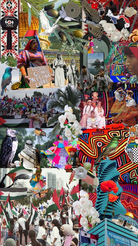 #panama #centralamerica #palestina #centambeauty #panamanian #centralamerican #solidarity #culture #history Your Aesthetic, Connect With People, Creative Energy, Panama, Energy, History