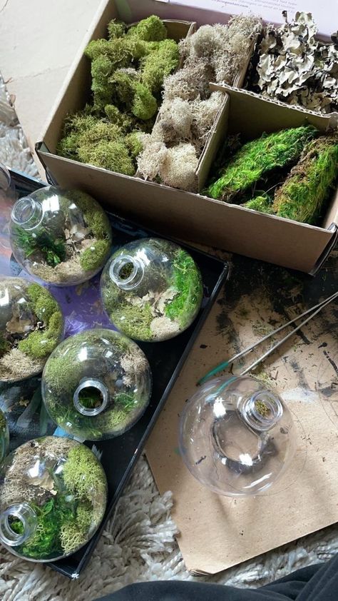 Terrarium Ornaments, Creative Christmas Tree Ideas, Diy Christmas Trees, Clear Plastic Ornaments, Clear Ornaments, Astuces Diy, Moss Terrarium, Cowboy Christmas, Garden Christmas