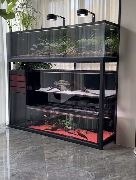 Fishtank Ideas Furniture, Tropical Aquarium Ideas, Asian Aquarium Ideas, Fish Room Ideas, Aquarium Rack Ideas, Natural Fish Tank Ideas, Aquarium Stand Ideas, Aquarium With Plants On Top, Aquarium Room