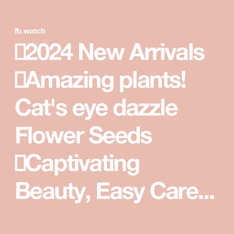 🌟2024 New Arrivals
🔥Amazing plants! Cat's eye dazzle Flower Seeds
💫Captivating Beauty, Easy Care.
🌿Suitable for both indoor and outdoor cultivation | By Dailyrosy GardenFacebook Amazing Plants, Cat Info, Flower Seeds, Cat Eye, New Arrivals, Seeds, Plants, Flowers, Beauty