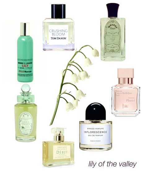 Lily of the Valley: A true classic - Muguet Fleuri, Femimin Pluriel, Inflorescence, Debut, Penhaligon's Lily of the Valley, CDG Lily, and Crushing Bloom. #niche #perfume #luckyscent Penhaligons Lily Of The Valley, Lily Of The Valley Perfume, Penhaligons Perfume, Koleksi Makeup, Organic Perfume, Fragrances Perfume Woman, Perfume Collection Fragrance, Niche Perfume, Perfume Scents