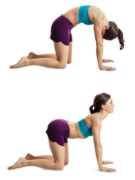 Cat/Cow pose Getting Rid Of Headaches, Cat Cow Pose, Cat Cow, Cow Pose, Long Car Rides, Road Trip Planning, Yoga For Beginners, Wellness Tips, Yoga Meditation