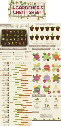 Each garden is unique in reference to its layout and watering needs. Flowers add color and some also act as a natural pesticide. Currently you have JavaScript disabled. In order to post comments, please make sure JavaScript and Cookies are enabled, and reload the page. Click here for instructions on how to enable JavaScript in your browser.... FULL ARTICLE AND TUTORIAL VIDEOS @ http://organicfarmingreport.com/organic-gardening-for-your-own-garden/ Vegetable Growing Cheat Sheet, Garden Preparation, When To Plant, Vegetable Gardens, Garden Types, Veg Garden, Greenhouse Gardening, Food Garden, Backyard Makeover