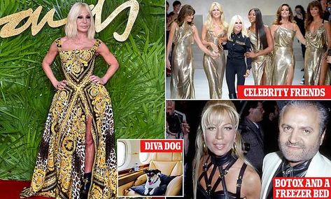 Why IS Donatella Versace selling family label to Michael Kors? Versace Family, Donatella Versace, American Design, Daily Mail, Strapless Dress Formal, Fashion Brand, Versace, Strapless Dress, Michael Kors