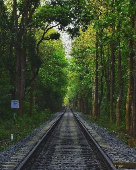 Railway Tracks Photography, Train Tracks Photography, 1 Point Perspective, Pretty Scenery, Perspective Photos, The Slums, Railway Line, Forest Drawing, Scenic Train Rides