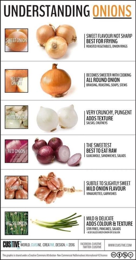 Types Of Onions, Food Infographic, Food Charts, Food Info, Cooking Basics, Good To Know, Food Facts, Veggie Dishes, Interesting Food Recipes