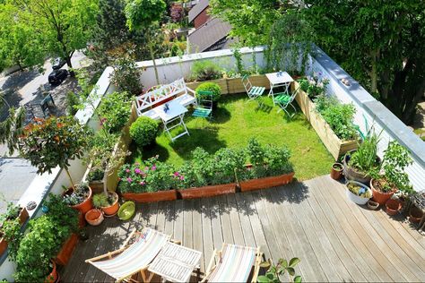 Roof Garden Plants, Tulips Garden Design, Roof Garden Design, Garden Site, Rooftop Design, Video Garden, Garden Ideas Cheap, Rooftop Patio, Garden Images