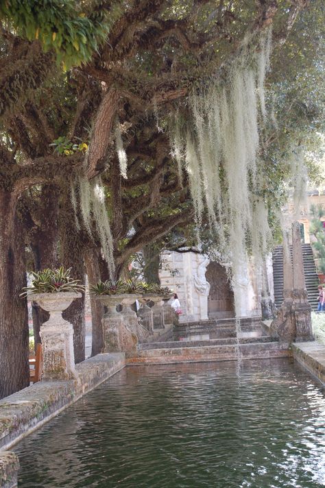 Villa Vizcaya in Miami. Pool Atrium, Deering Estate, Vizcaya Miami, Florida Gardens, Alexander Palace, Southern Things, Vizcaya Museum, White Butterflies, Pool Water Features