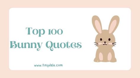 Tinydale Bunny Love Quotes, Rabbit Species, Bunny Quotes, Bunny Book, Rabbit Pictures, Margaret Wise Brown, Cute Bunny Pictures, Small Rabbit, Velveteen Rabbit