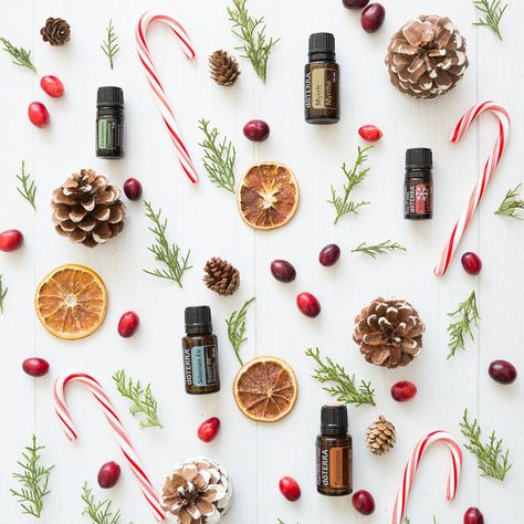 Merry Christmas! Enjoy time with friends and family and fill your home with one of our favorite diffuser blends! 3 drops Frankincense, 3 drops Myrrh, 3 drops Cardamom, 2 drops Siberian Fir, and 3 drops Holiday Joy. Holiday Joy Doterra, Doterra Christmas, Doterra Frankincense, Do Terra, Siberian Fir, Doterra Business, Diffuser Blend, Doterra Essential Oils, Diffuser Blends