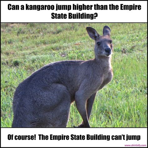 and the kangaroo is proud of it…  #humor #funny #memes #jokes #shirtisfy #sarcasm #funnypictures #comedy #lol #clothing #fun #rofl #funnytshirts #funnymemes #meme #dankmemes #comedy #lmao #memesdaily #viral #funnyshit #hilarious It Humor, Kangaroo Jumps, Humor Funny Memes, High Jump, Sarcasm Humor, Humor Funny, Dankest Memes, Funny Tshirts, Kangaroo