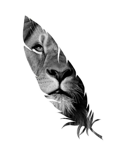 White Photo, Lion, Germany, Black And White, White, Black