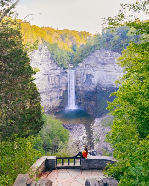 Did you know there are three ways to see Taughannock Falls? Honestly, most people don’t! And they end up missing out on some of the best views of this waterfall. If you’re planning a trip to Taughannock Falls in the Finger Lakes, here are all the ways you can see it: 1. Hike to base of the falls via the Gorge Trail (easy). The trail is 1.8 miles out and back and can be completed in about an hour. This is where Google Maps takes you by default. 2. Go to the upper viewing platform (no h... Taughannock Falls, Finger Lakes Ny, Buttermilk Falls, Vacay Ideas, Watkins Glen State Park, Viewing Platform, New York Map, The Finger Lakes, View Point