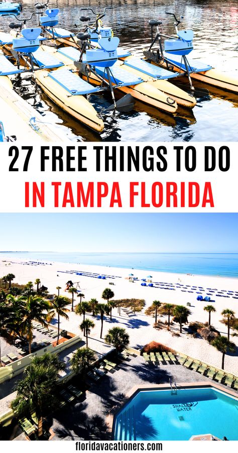 Things To Do In Tampa, Tampa Riverwalk, Florida Travel Guide, Travel Florida, Busch Gardens Tampa, Tampa Bay Florida, Florida Destinations, Places In Florida, Florida Trip