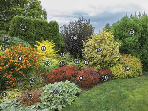 Edge Of Property Landscaping, Privacy Garden Plan, Prairie Landscape Design, Spirea Bush Landscaping Ideas, Privacy Border Landscaping Ideas, Mixed Shrub Border, Berm Planting Ideas, Property Border Landscaping, Evergreen Border Planting Ideas