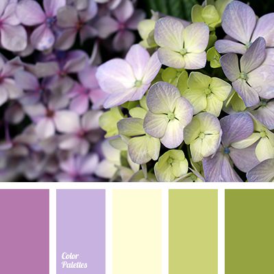 In Color Balance, Class Inspiration, Color Palette Ideas, Wall Living Room, Purple Color Palettes, Color Palette Yellow, Palette Design, Color Schemes Colour Palettes, Palette Ideas