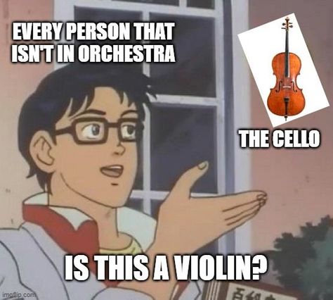 #orchestrahumour #memes #bandmemes #musicmemes #orchestramemes #twosetviolin #musicmemesdaily #viola #violin #bass #piano #cello #cellomemes #pianomemes #violamemes #violinmemes #brass #woodwind #strings #guitar #guitarmemes #trumpet #flute #jazzmemes #orchestra #music Violin Memes Funny, Cello Humor, Orchestra Jokes Cello, Violin Humor, Cello Funny, Orchestra Humor Violin, Orchestra Memes Cello, Orchestra Humor Cellos, Violin Jokes